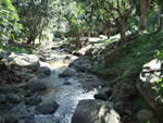Quebrada Rumiyacu